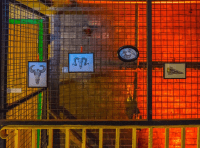 15369133_10154190795562496_4169809272445776115_o