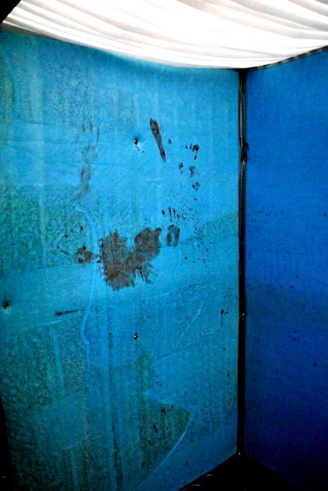 Inside the Cell.